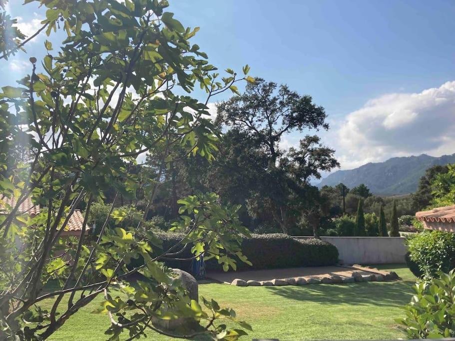Maison Sainte Lucie De Porto-Vecchio Zewnętrze zdjęcie